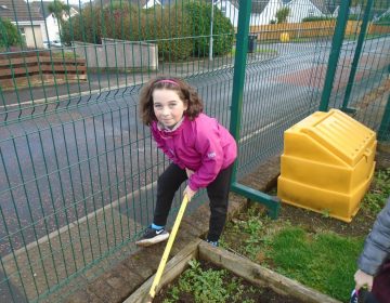Eco Committee are gardening!