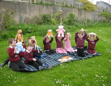 Our Bears Loved Their Picnic