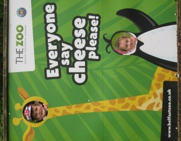 Belfast Zoo Trip