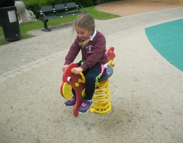 Fun In The Play Park At The Zoo