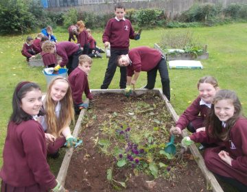 Primary 7 enjoy some weeding!