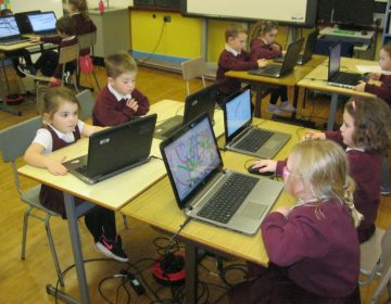 Primary one were using our ICT suite for the first time!