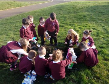 P.1 have been making rockets with junk materials and trying them out in the beautiful sunshine. We also saw signs of Spring!