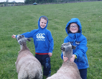 Conor And Ruairi With Sheep