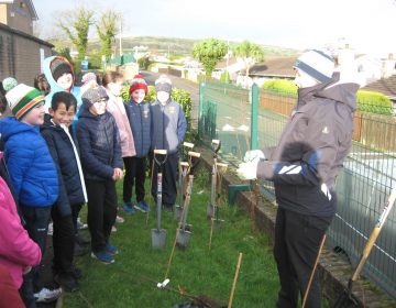 The Eco Committee and Primary 7 pupils plant trees with help from the Causeway Coast and Glens Heritage Trust