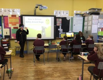 Primary 7 learn about how to behave safely around dogs, with Cathy from the Dog’s Trust.